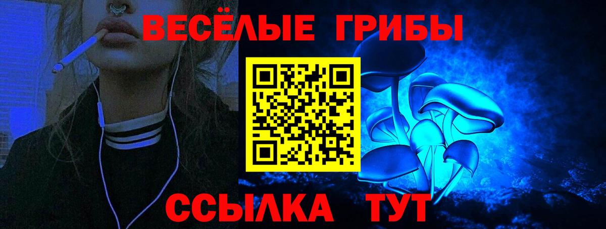 Галлюциногенные грибы Cubensis Крымск